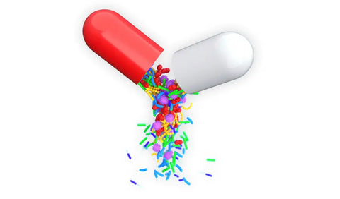 The Importance of Probiotics for Women HerbsPro