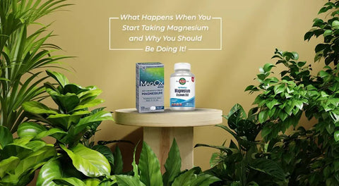 What Happens When You Start Taking Magnesium and Why You Should Be Doing It! HerbsPro