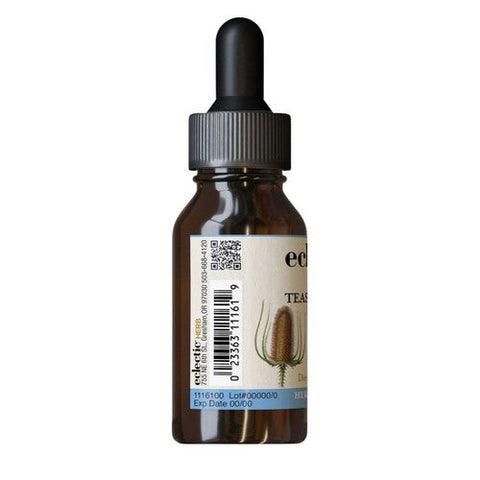 Eclectic Herb, Teasel Root, 1 Oz Eclectic Herb