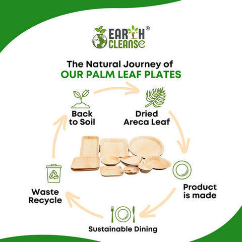 Earth Cleanse, Areca Palm Leaf Bowls Round 6-Inch, Pack of 25 Earth Cleanse